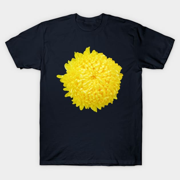 Yellow Chrysanthemum Floral Photo Cutout T-Shirt by ellenhenryart